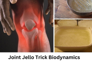 Joint Jello Trick Biodynamice Reviews